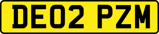 DE02PZM
