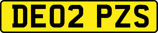 DE02PZS