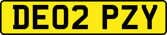 DE02PZY