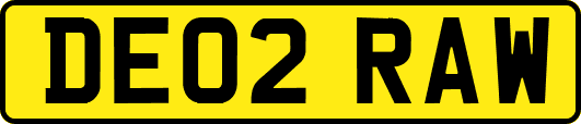 DE02RAW