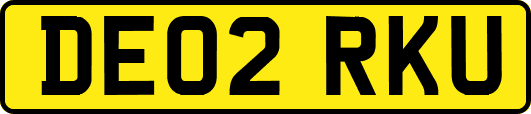 DE02RKU
