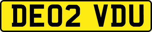 DE02VDU