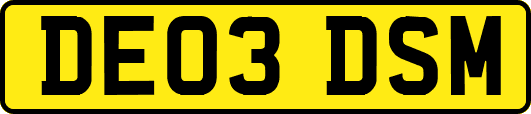 DE03DSM