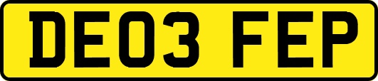 DE03FEP