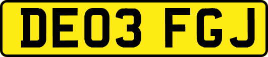 DE03FGJ