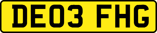 DE03FHG
