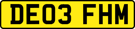 DE03FHM