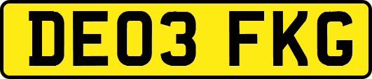 DE03FKG