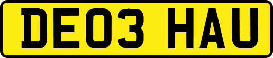 DE03HAU