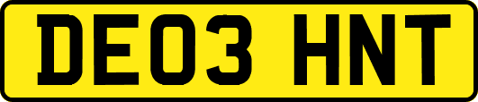 DE03HNT