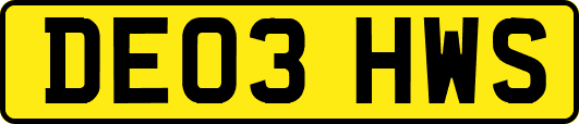 DE03HWS