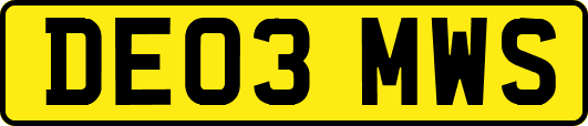 DE03MWS