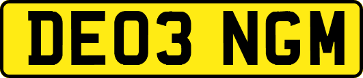 DE03NGM