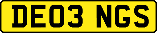 DE03NGS