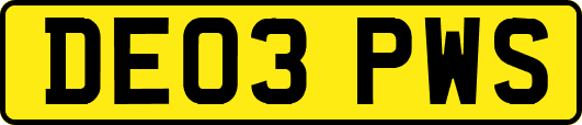 DE03PWS