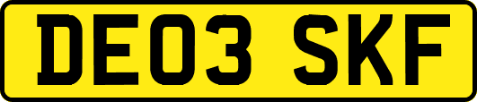 DE03SKF