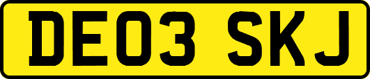 DE03SKJ