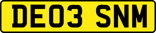 DE03SNM