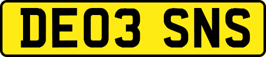 DE03SNS