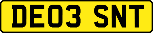 DE03SNT