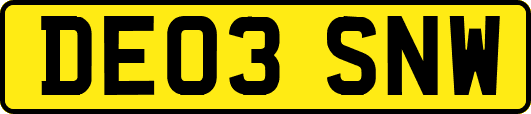 DE03SNW