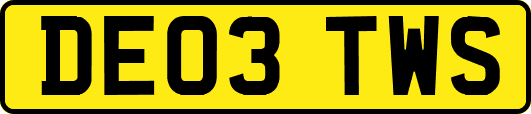 DE03TWS