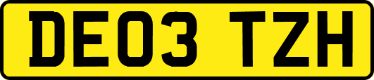 DE03TZH