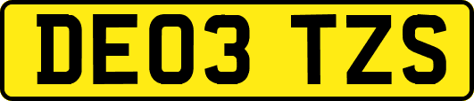 DE03TZS