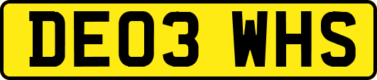 DE03WHS