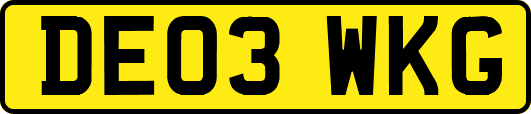 DE03WKG