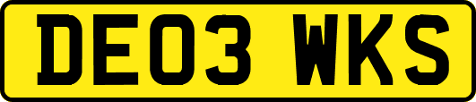 DE03WKS
