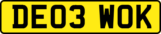 DE03WOK