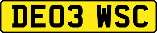 DE03WSC
