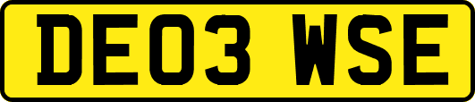 DE03WSE