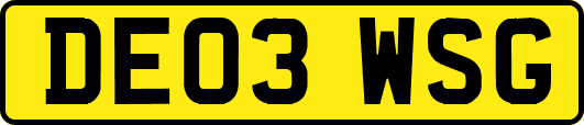DE03WSG