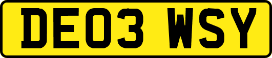 DE03WSY