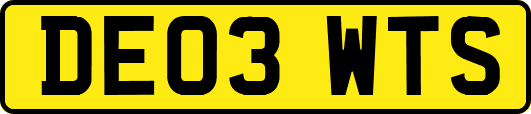DE03WTS