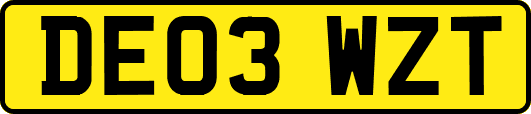 DE03WZT