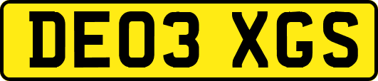 DE03XGS