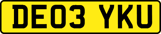 DE03YKU