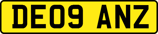 DE09ANZ