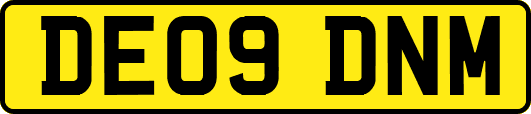 DE09DNM