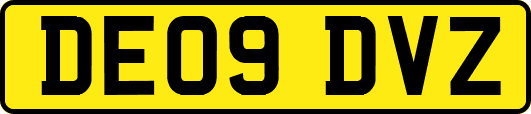 DE09DVZ