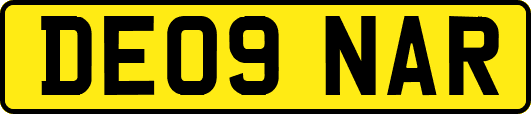 DE09NAR
