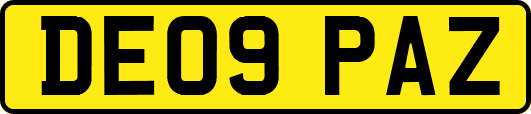DE09PAZ