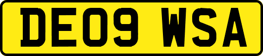 DE09WSA