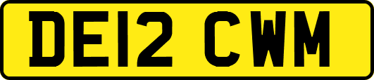 DE12CWM