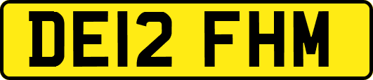 DE12FHM