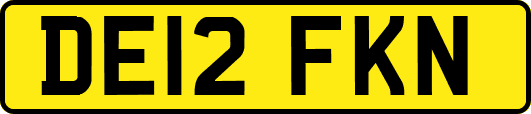 DE12FKN