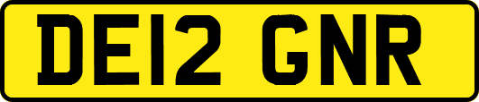 DE12GNR
